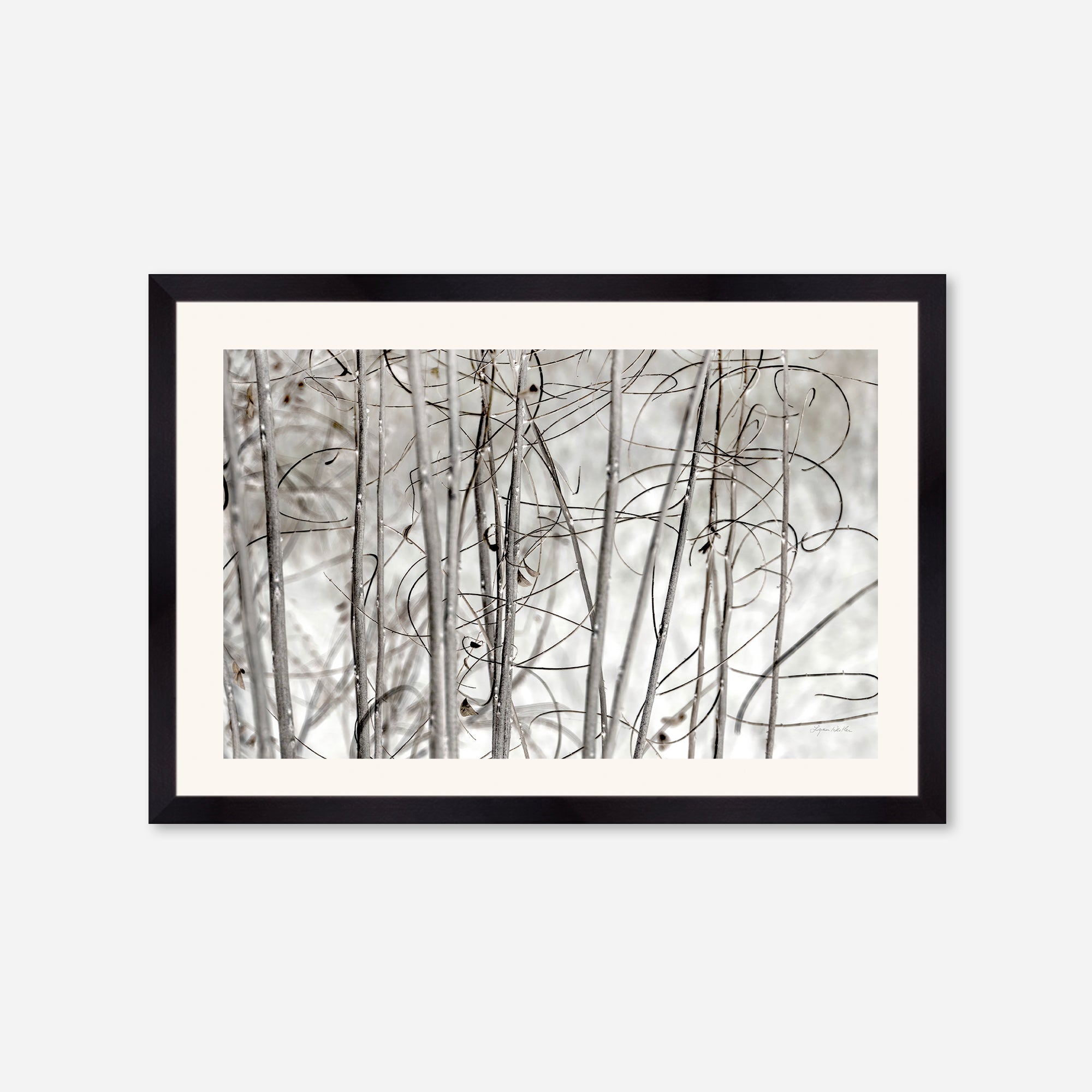 Twigs no. 3