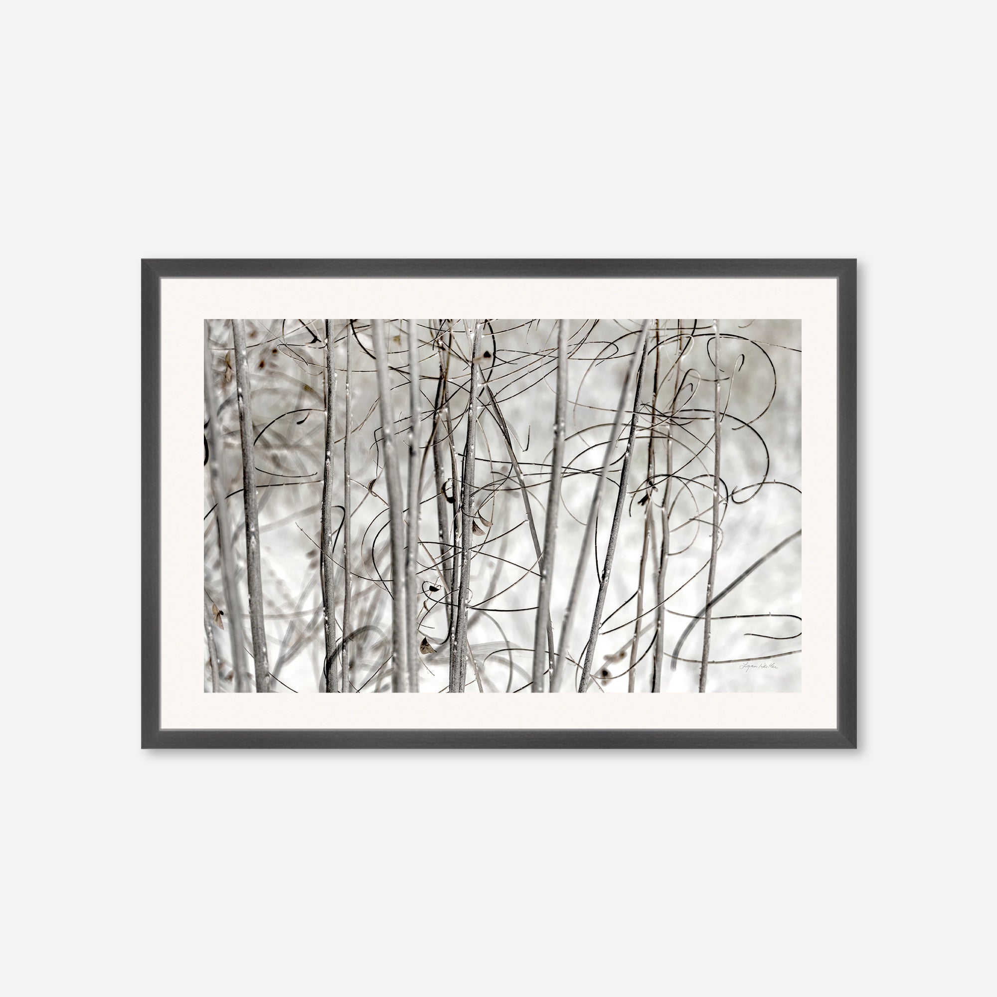 Twigs no. 3