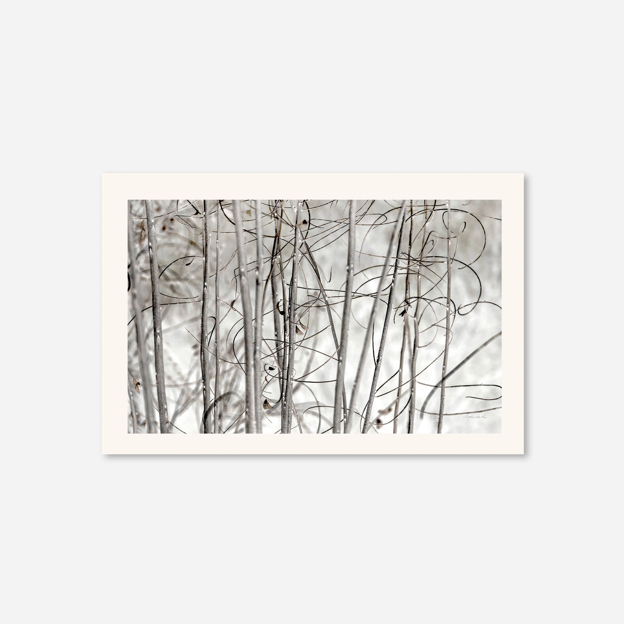 Twigs no. 3