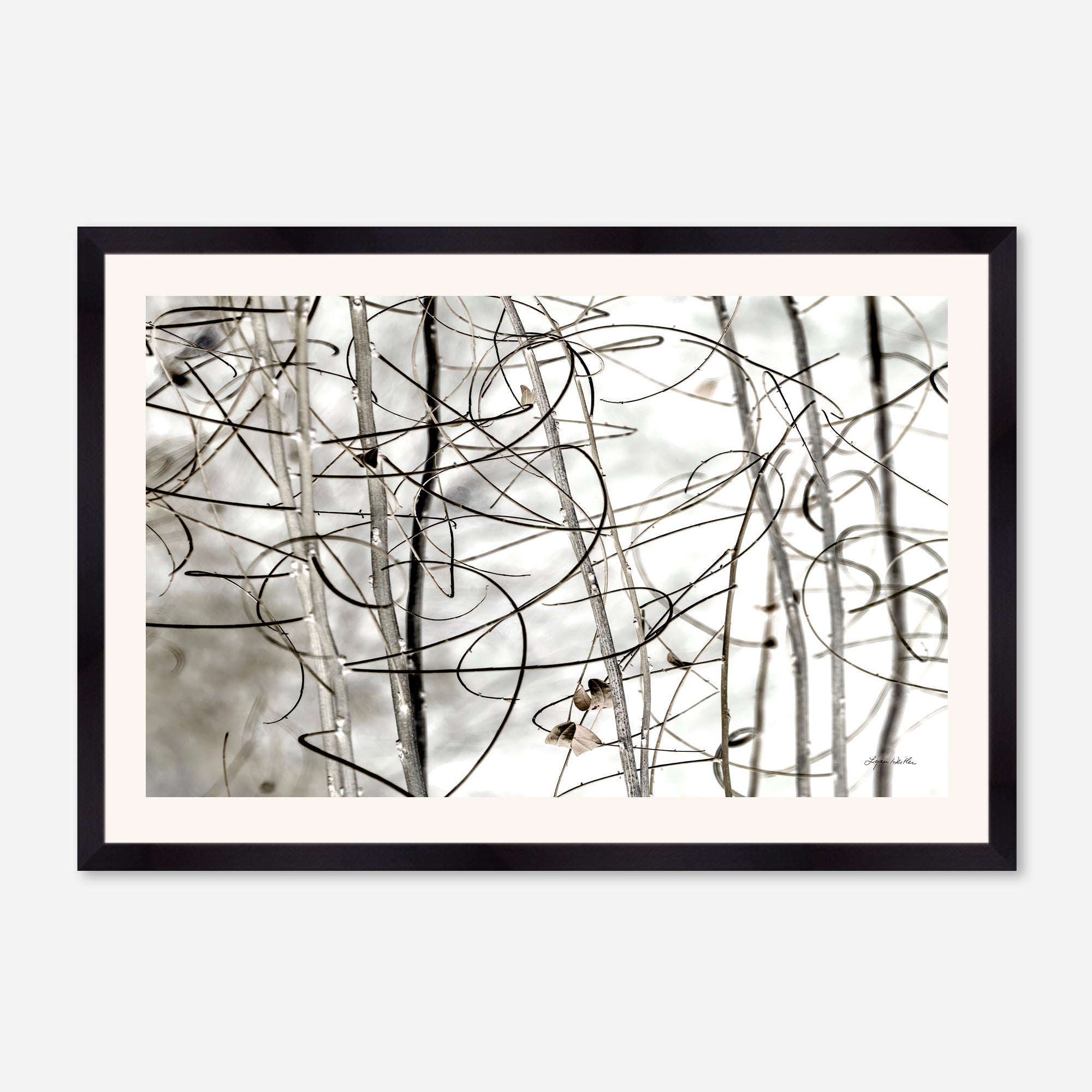 Twigs no. 1