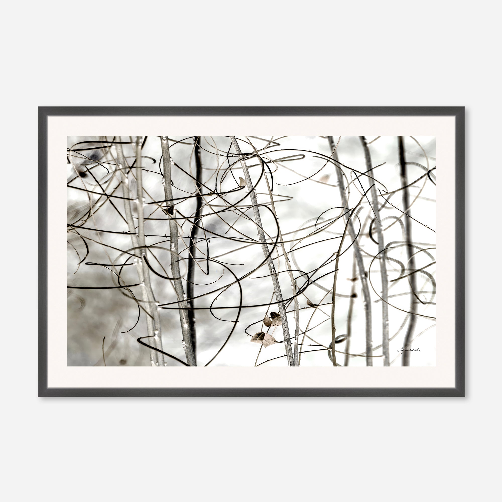 Twigs no. 1