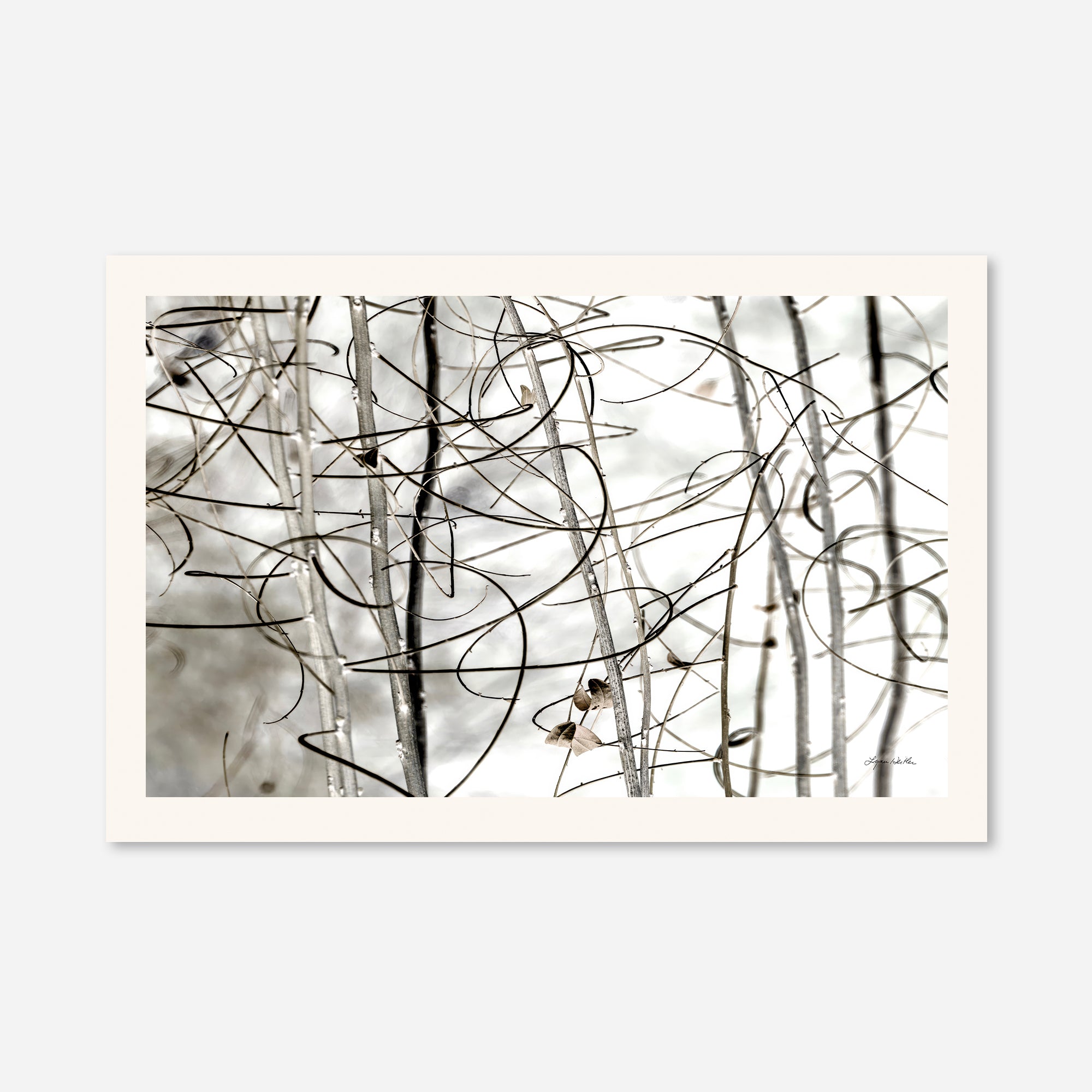 Twigs no. 1