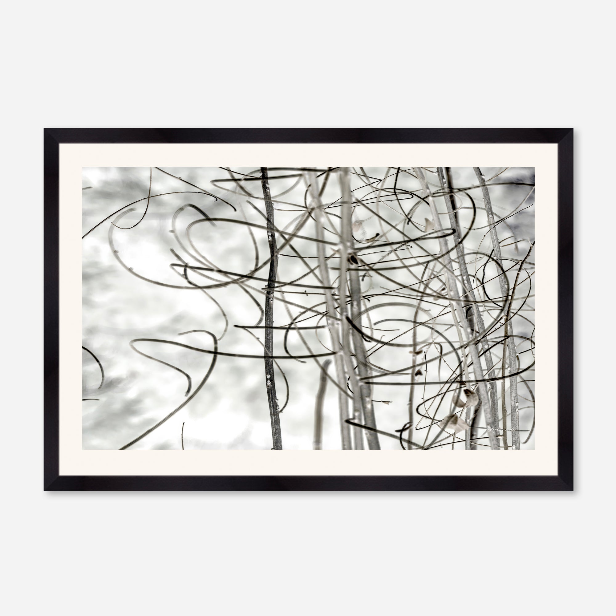 Twigs no. 2
