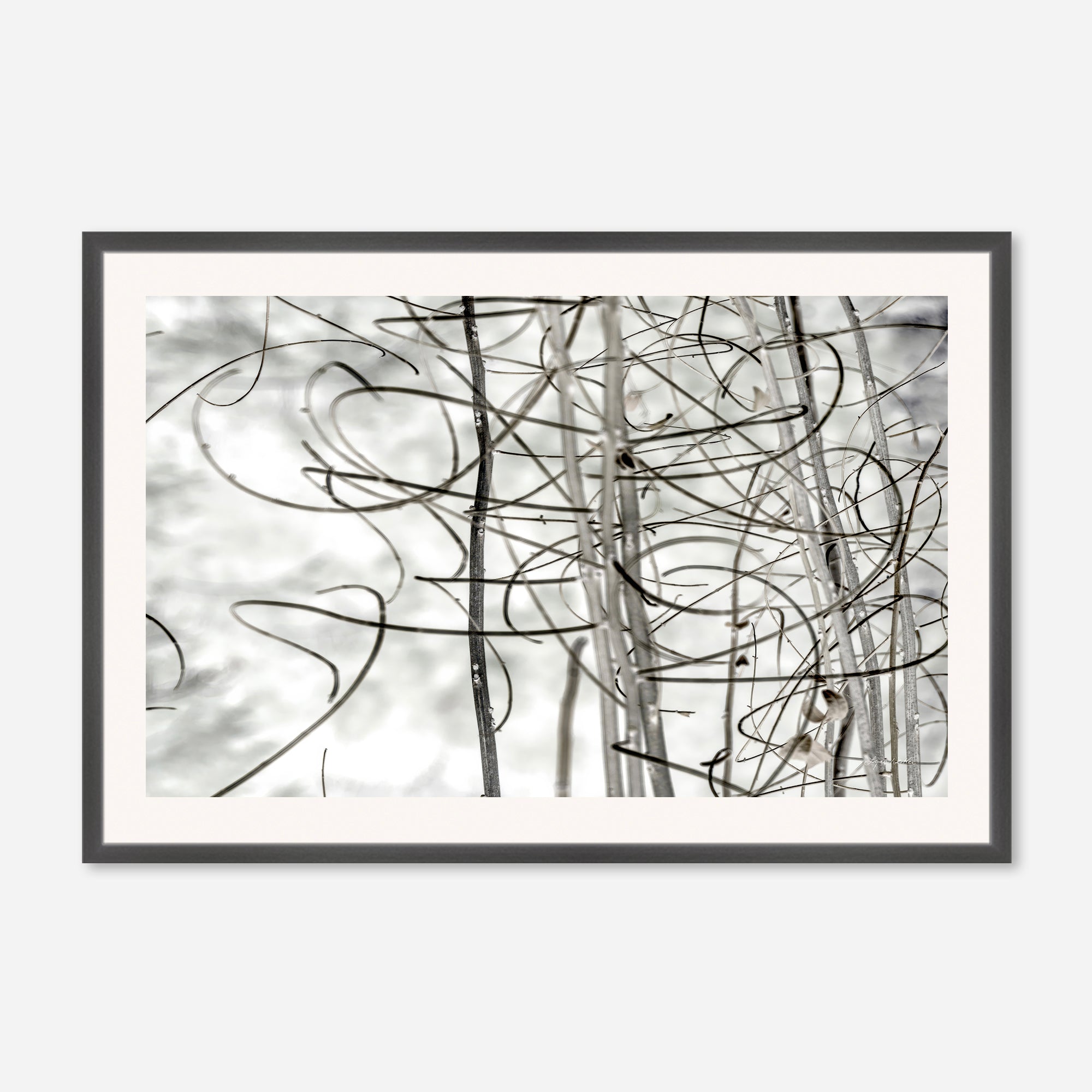Twigs no. 2