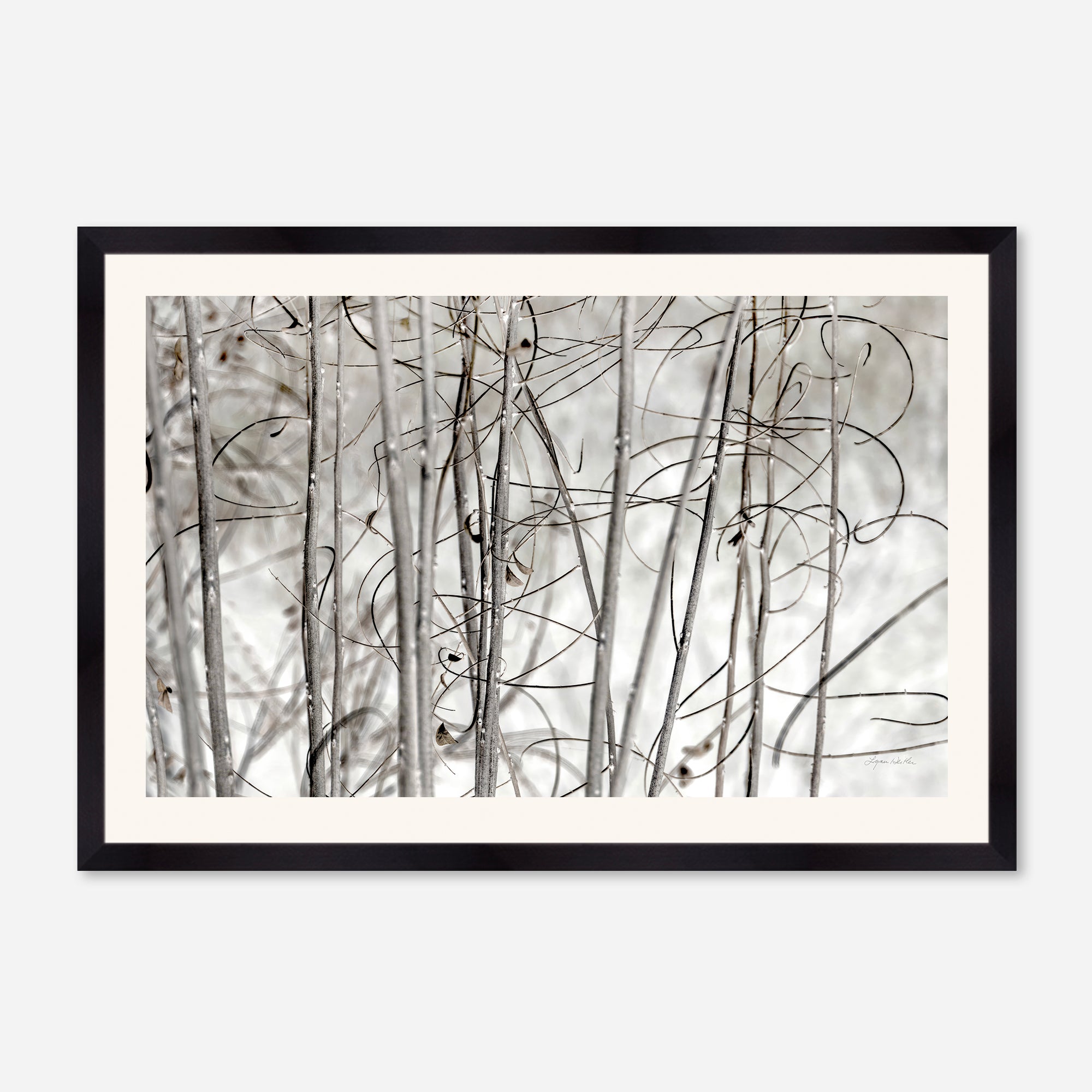 Twigs no. 3