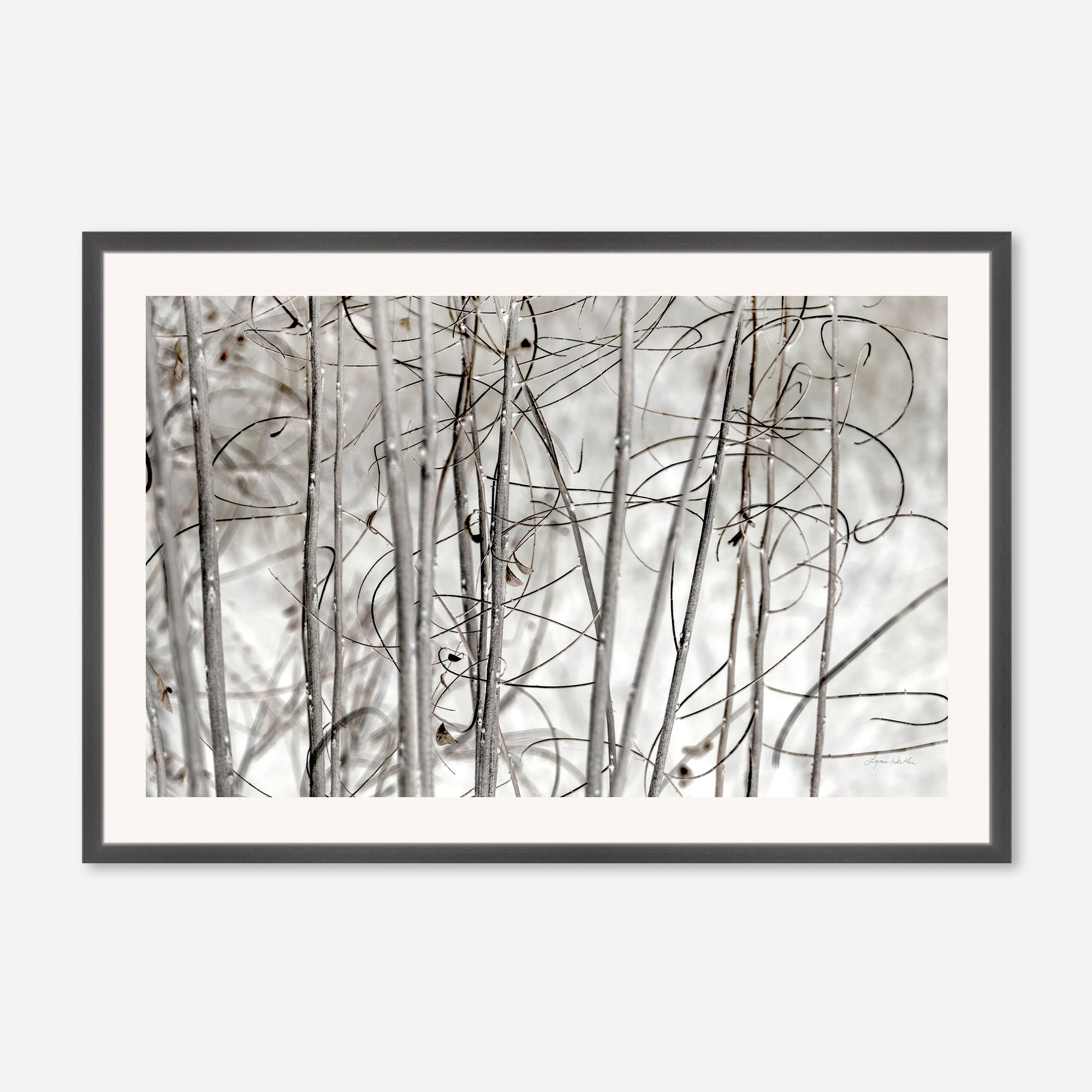 Twigs no. 3