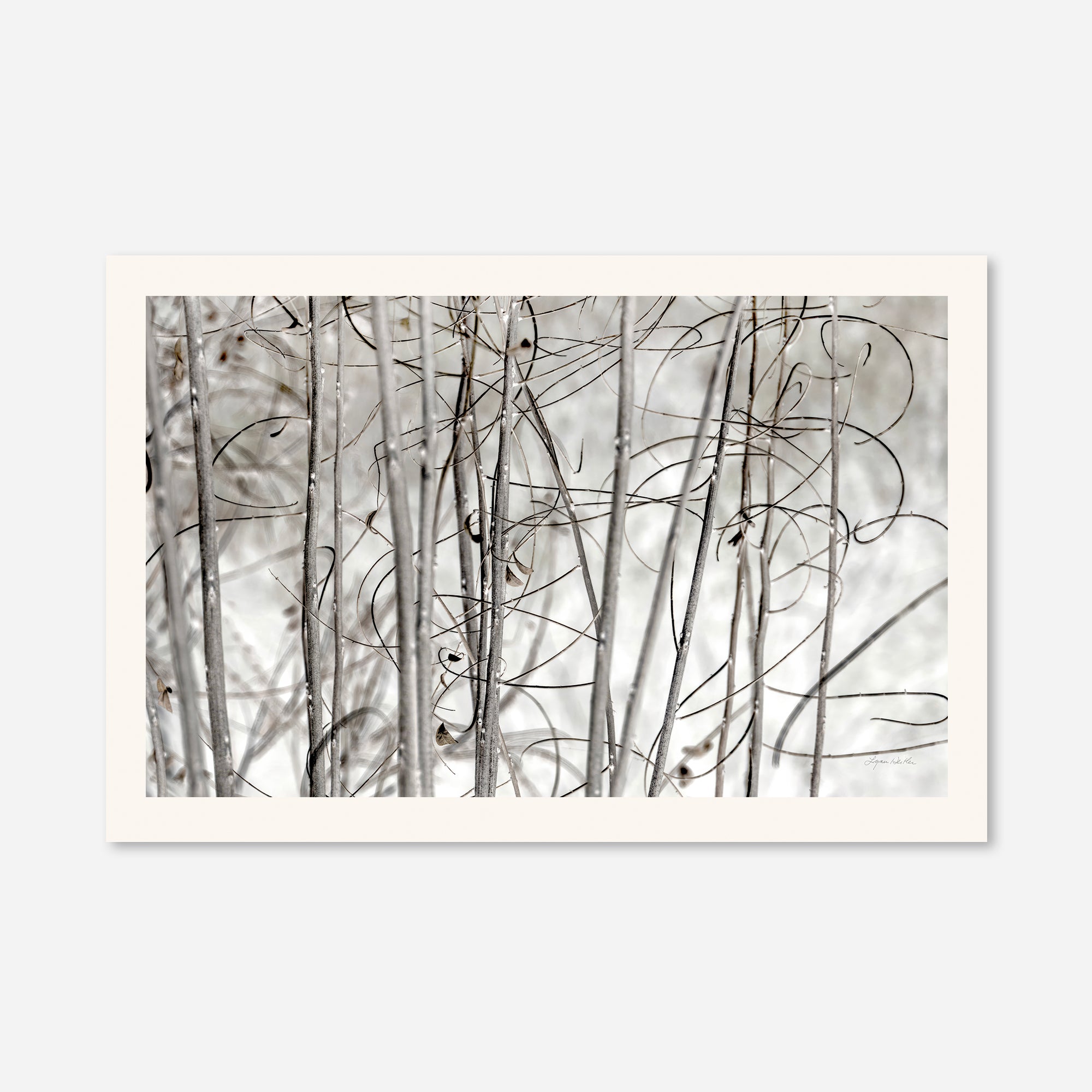 Twigs no. 3