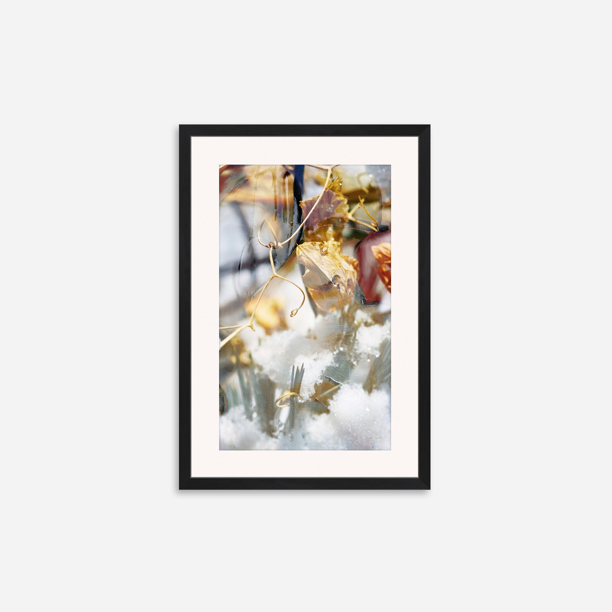 Unveil no.4