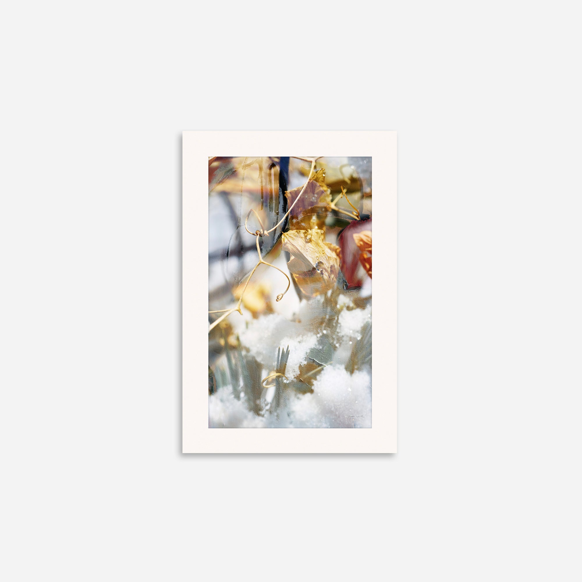 Unveil no.4