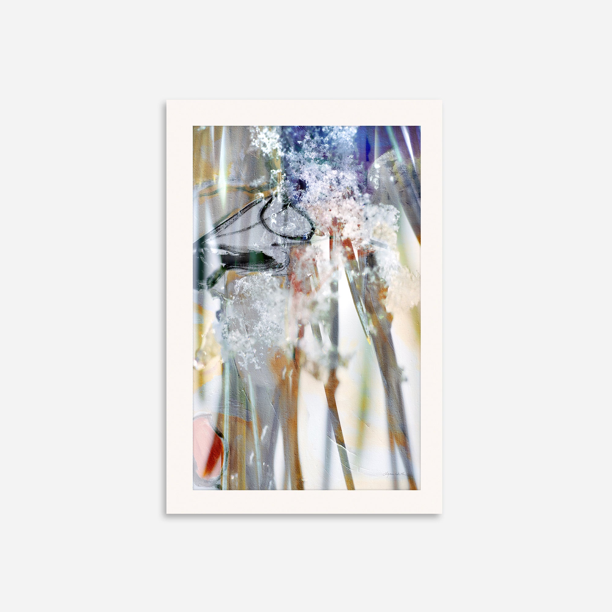 Unveil no.2
