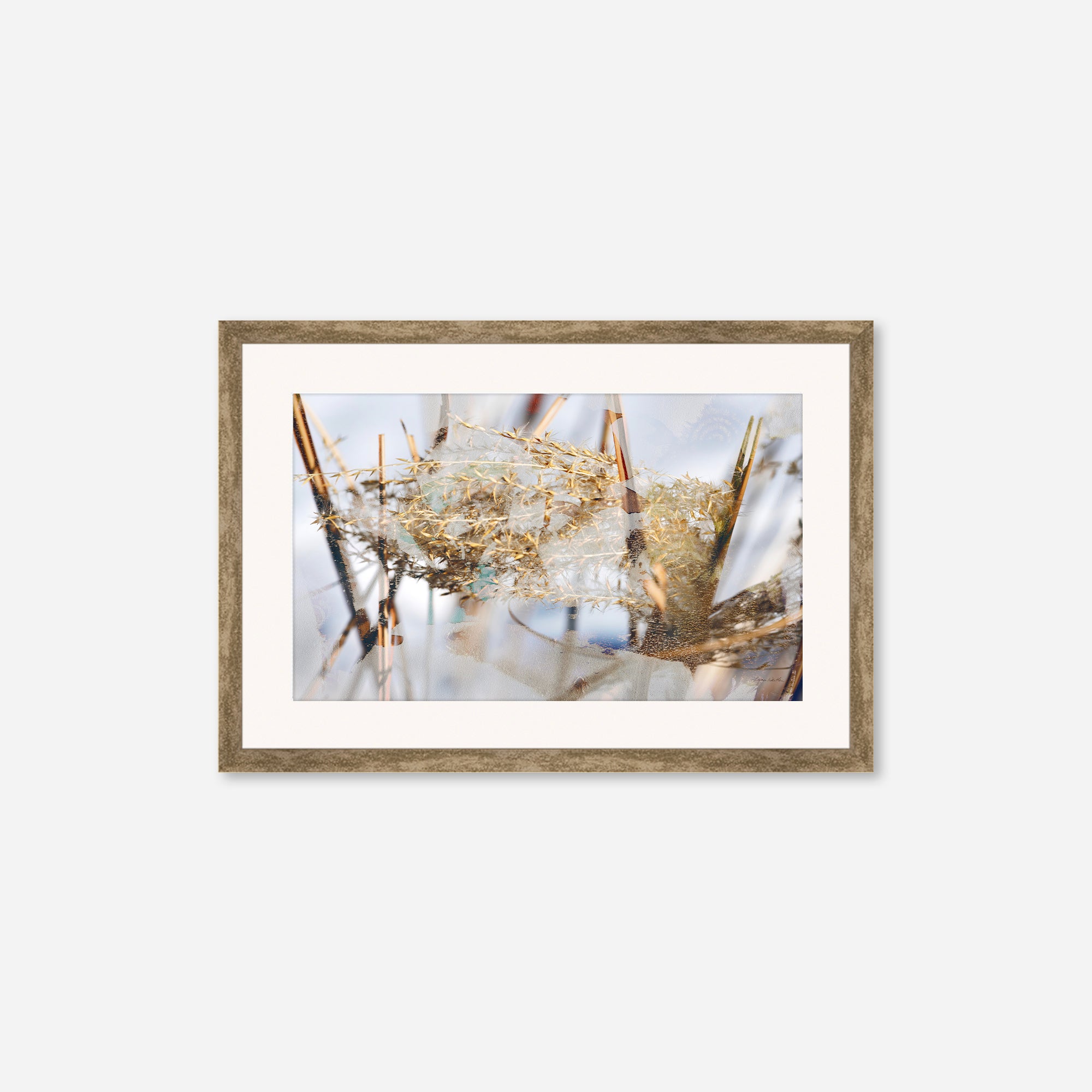 Winter Sun no.3