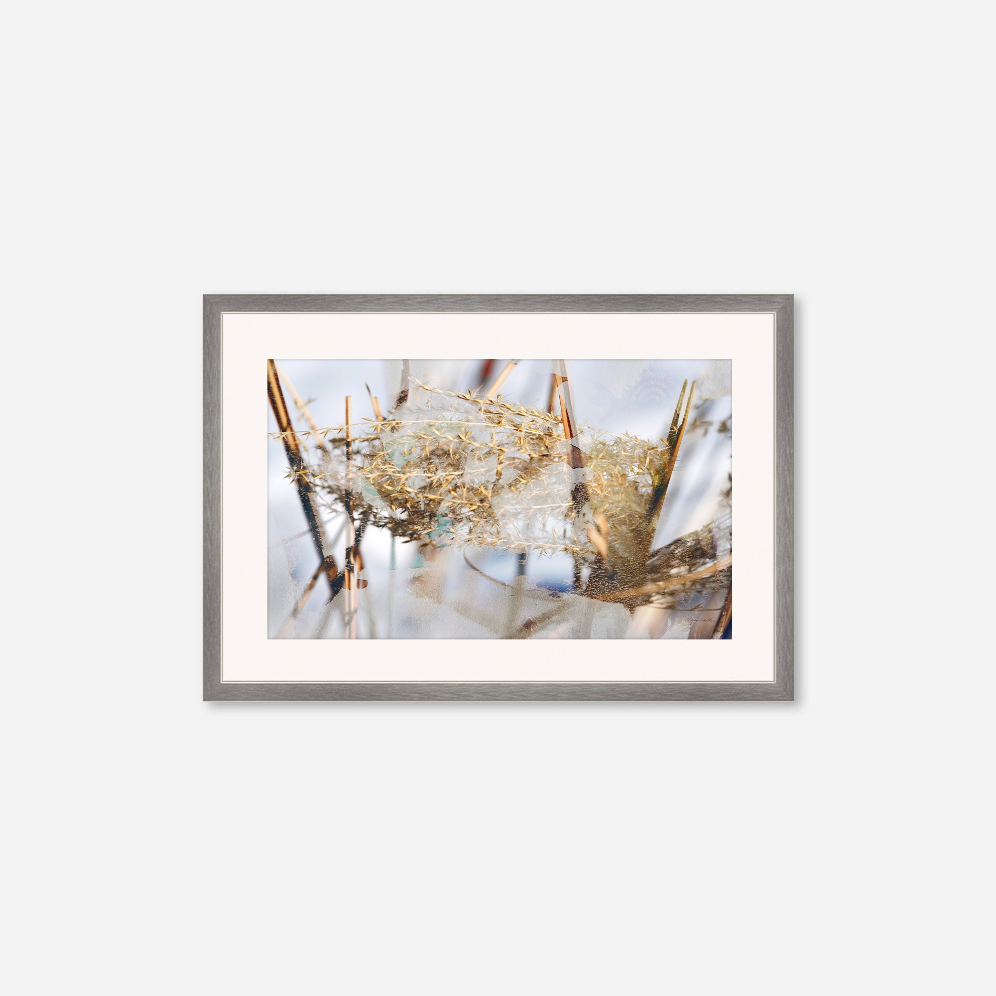 Winter Sun no.3