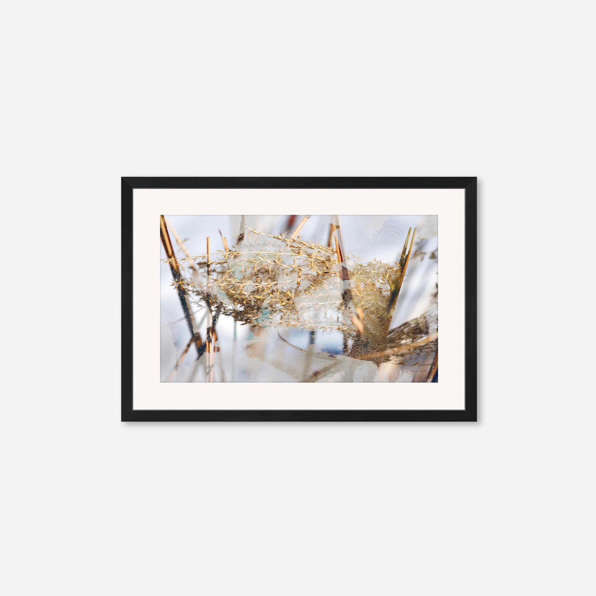 Winter Sun no.3