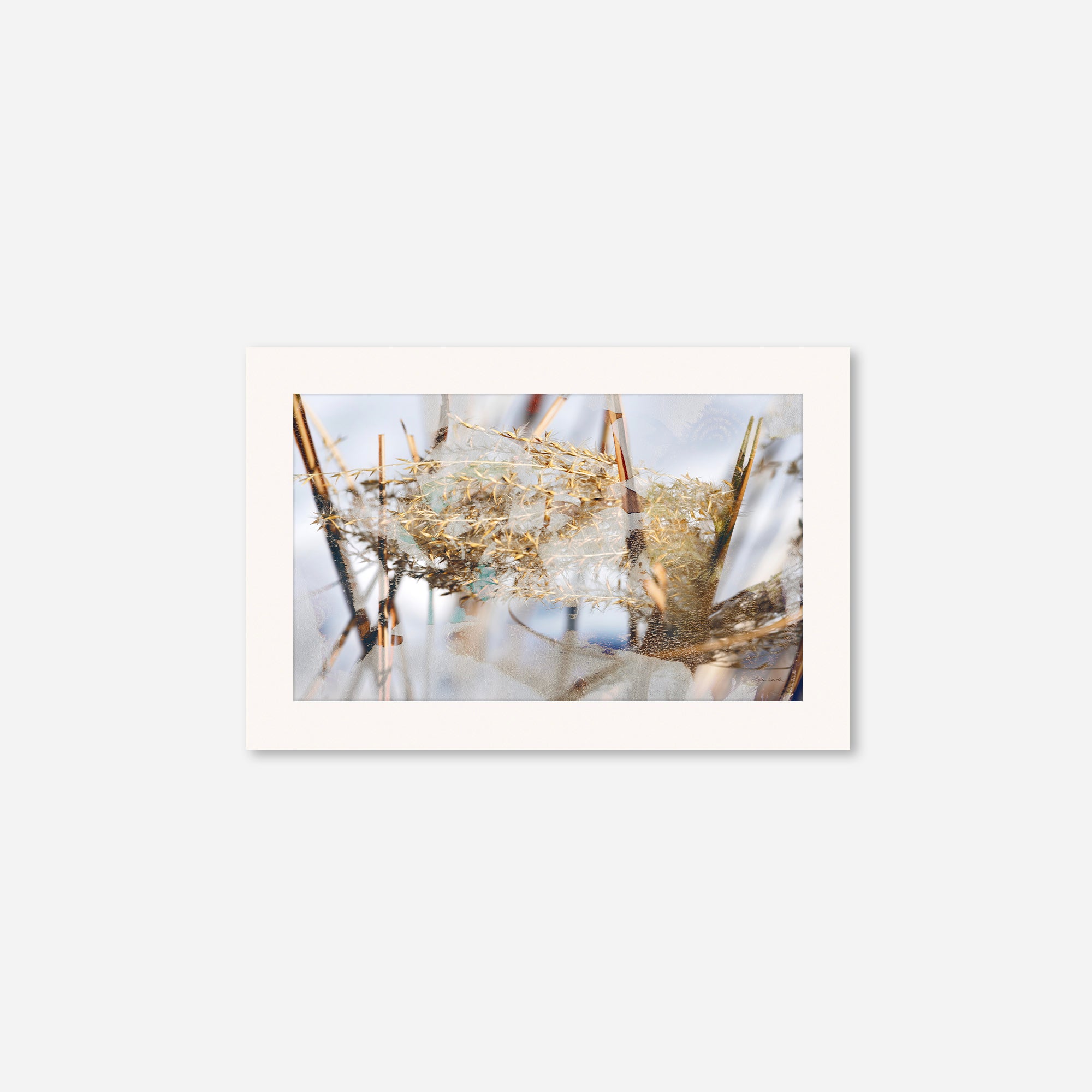 Winter Sun no.3