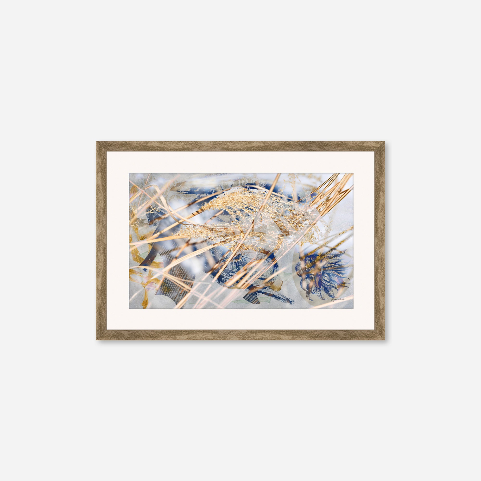 Winter Sun no.1
