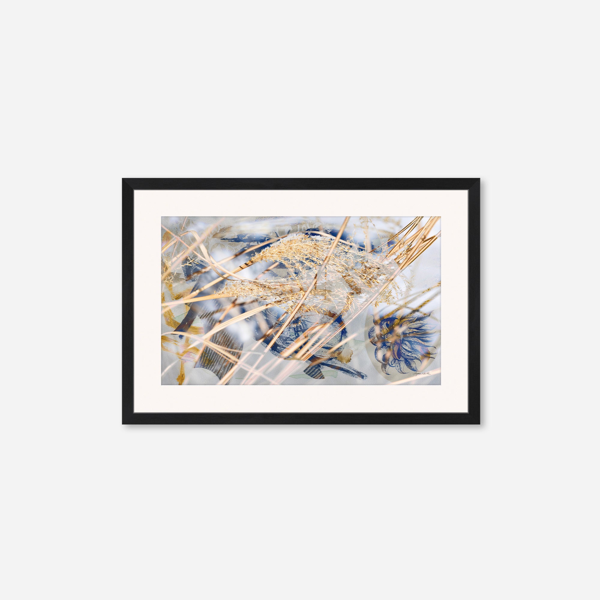 Winter Sun no.1
