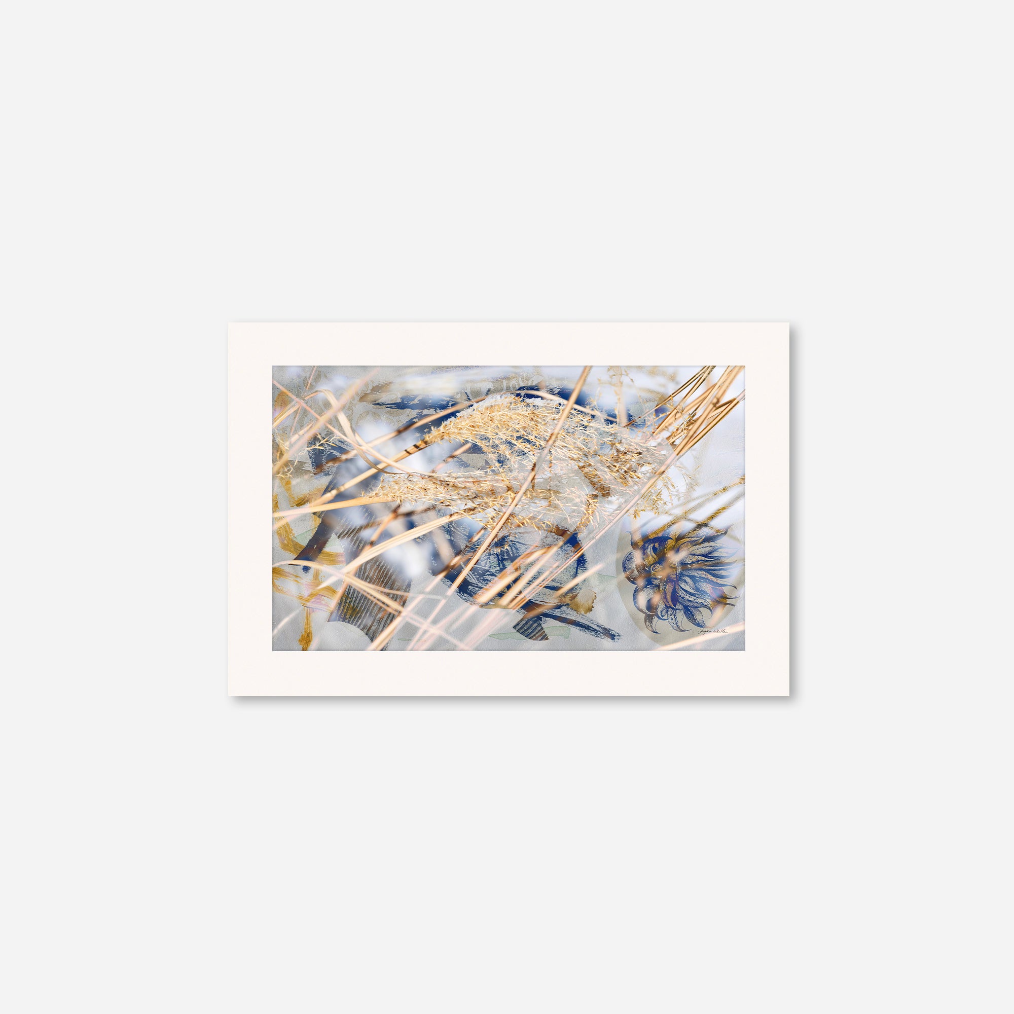 Winter Sun no.1