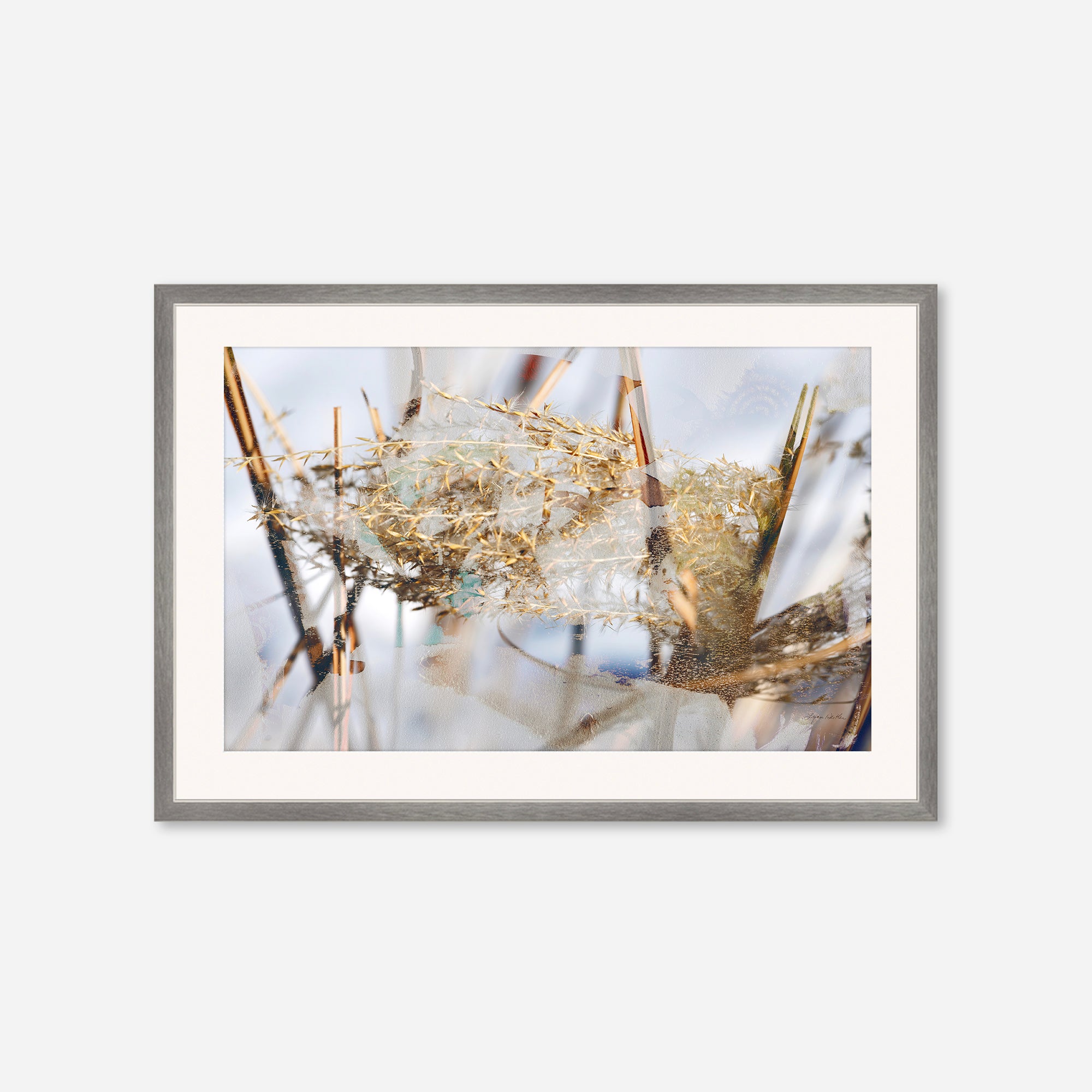 Winter Sun no.3