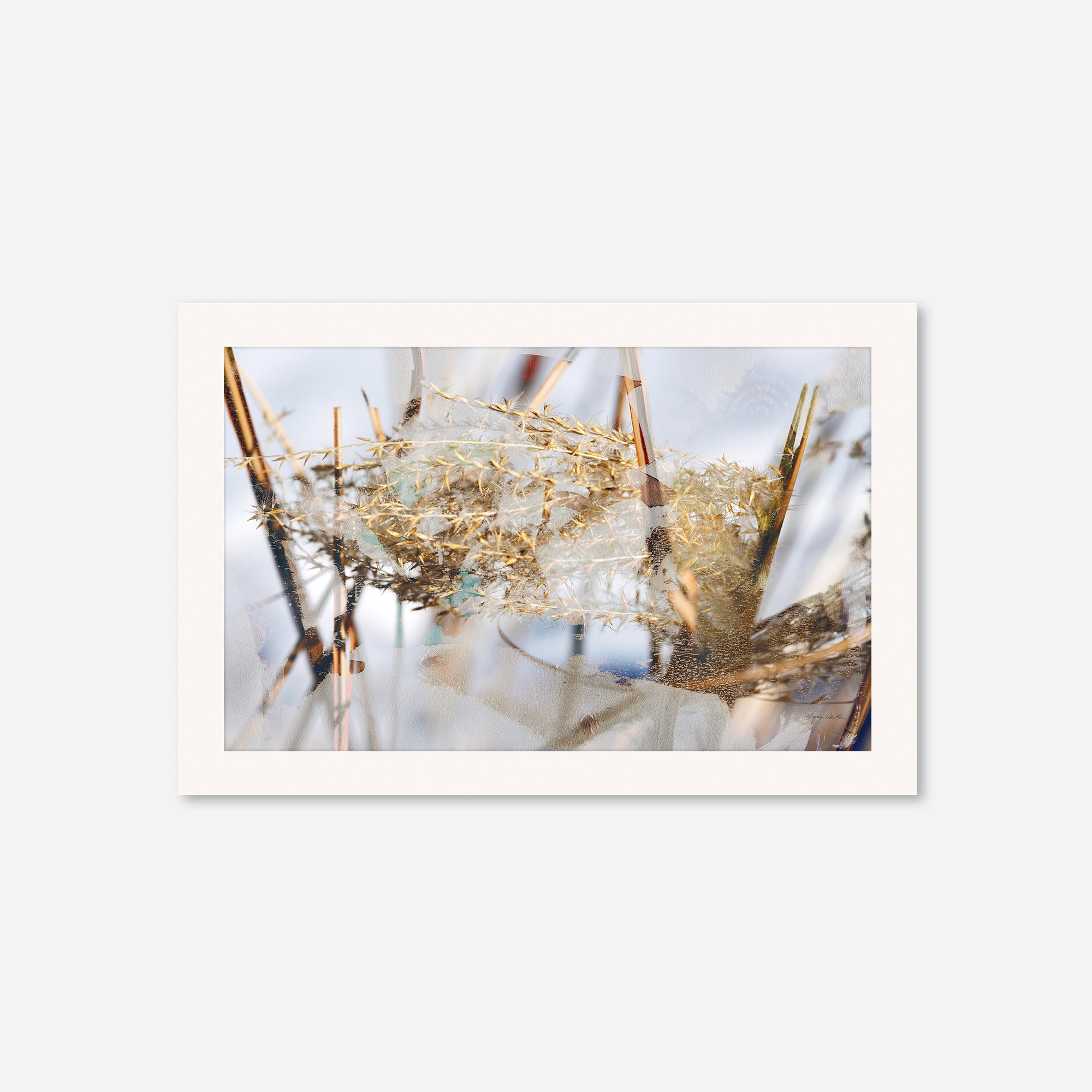 Winter Sun no.3