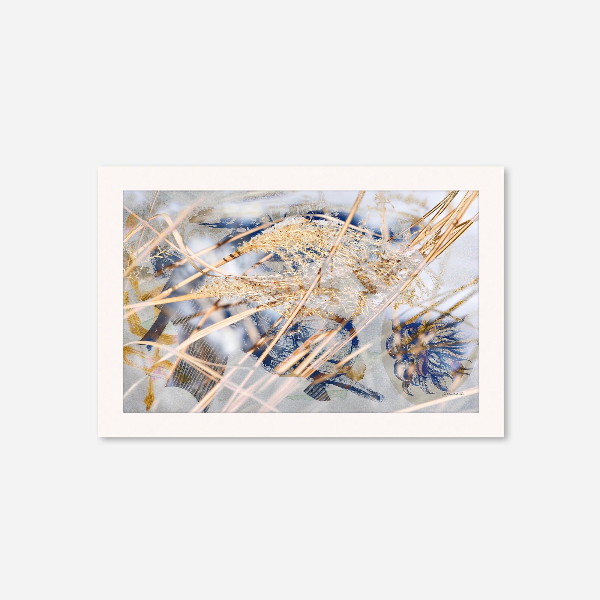 Winter Sun no.1