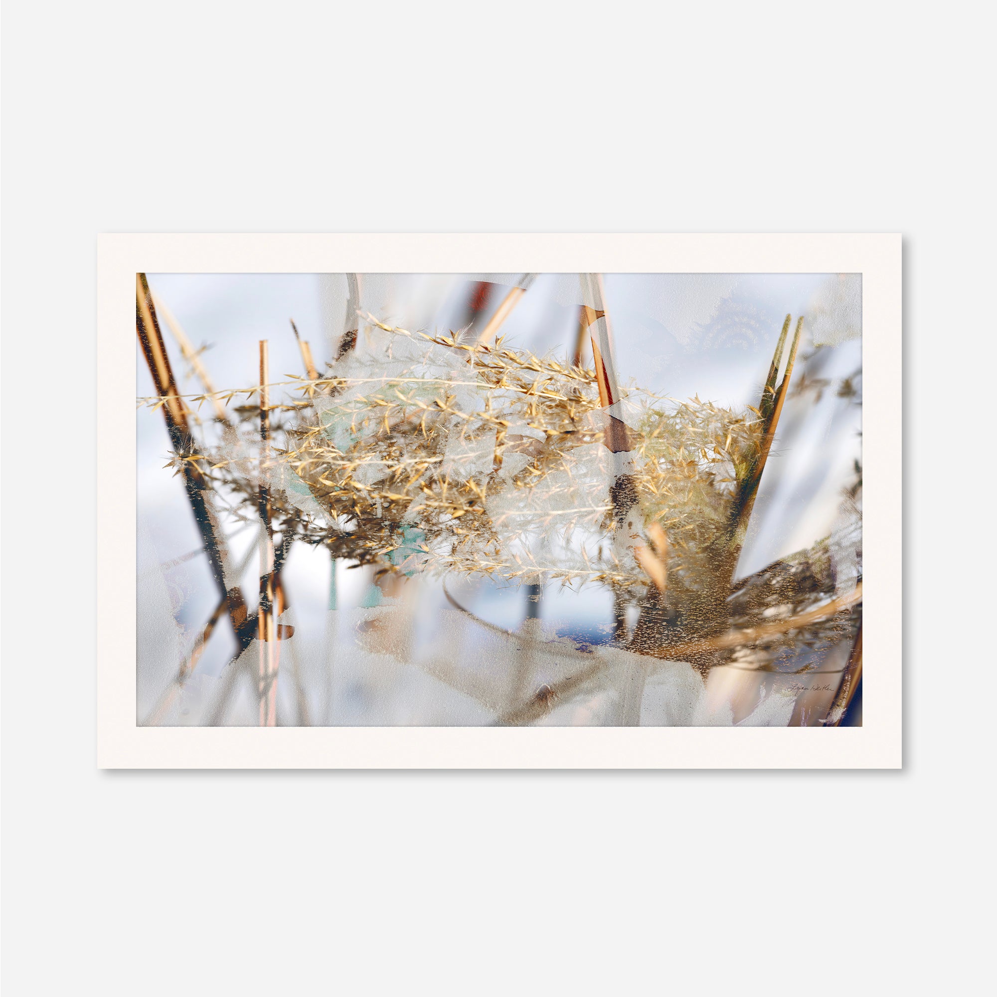 Winter Sun no.3