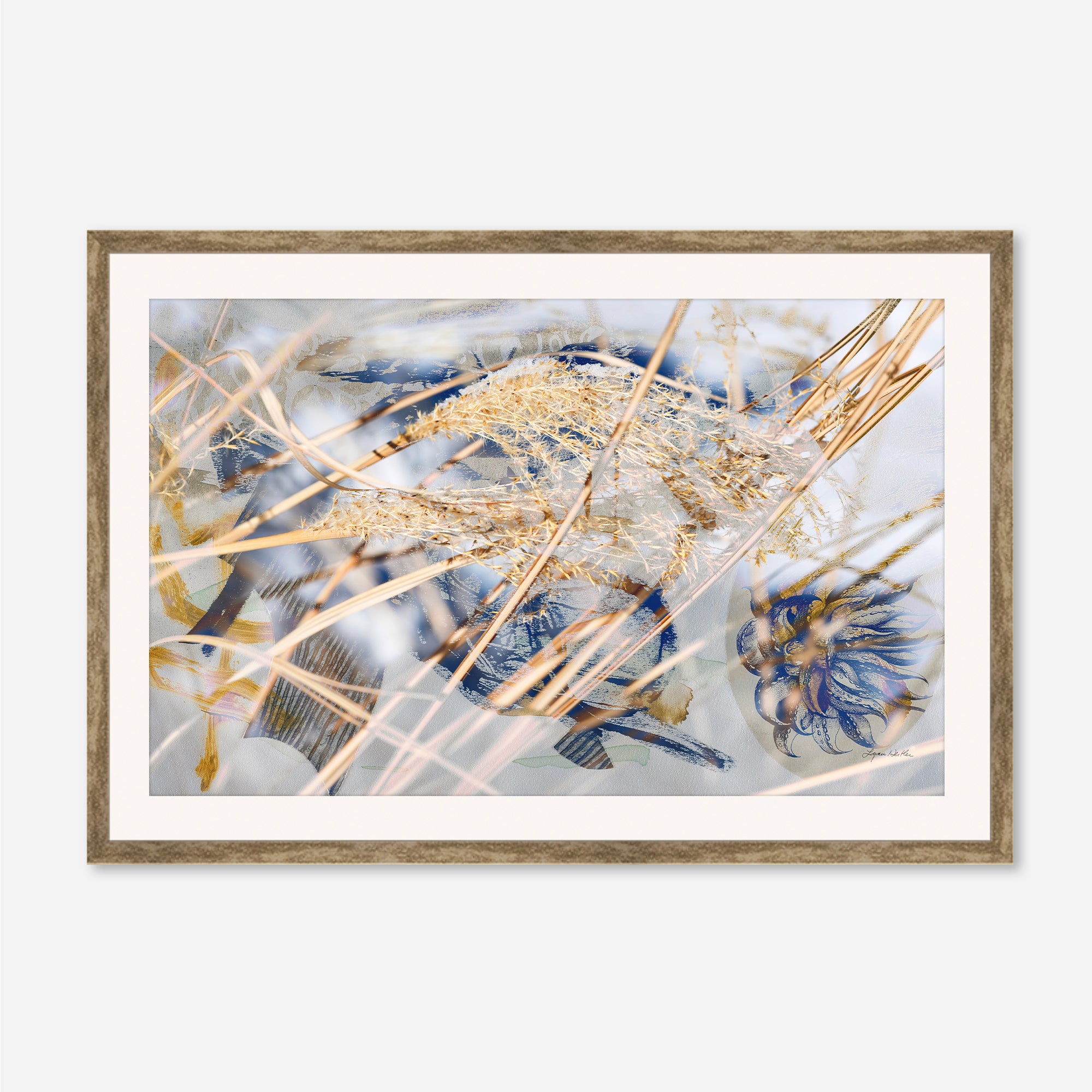 Winter Sun no.1