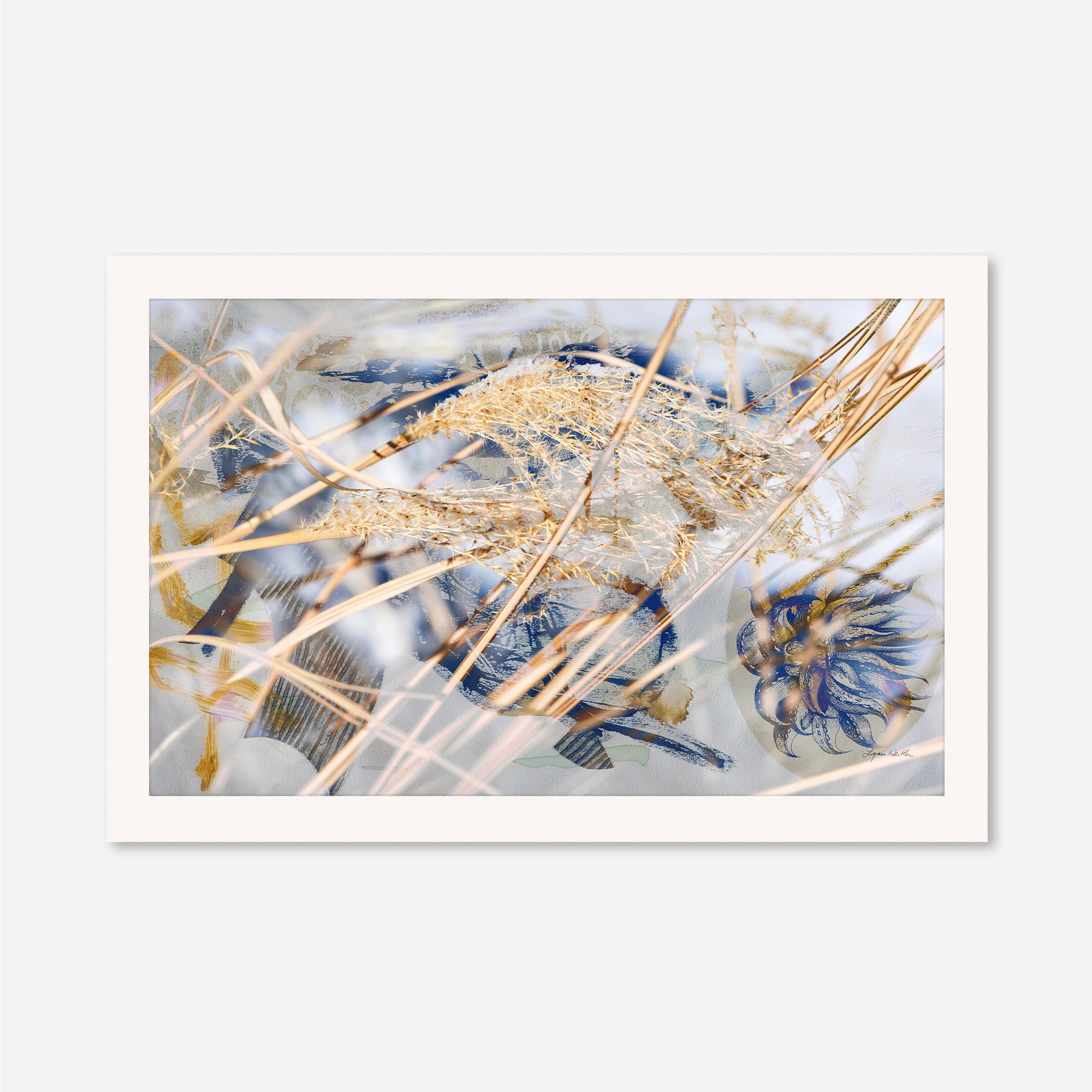 Winter Sun no.1